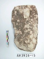 藏品(大型舌刃打製石斧)的圖片